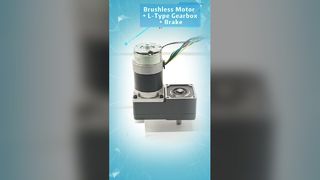 Motor sin escobillas con caja de cambios tipo L y freno integrado